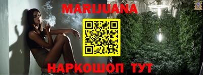 гидра Краснознаменск