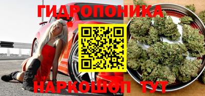 гидра Краснознаменск