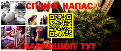 гидра Краснознаменск