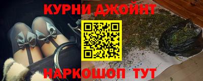 гидра Краснознаменск
