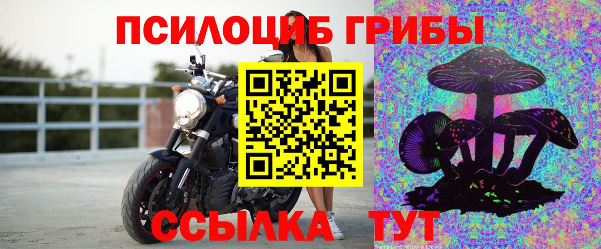 Галлюциногенные грибы прущие грибы Котовск
