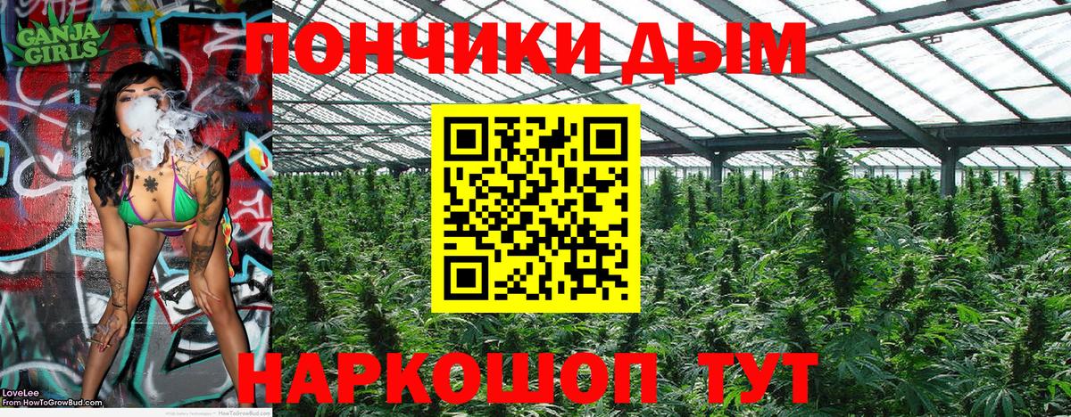 МАРИХУАНА тримм  МАРИХУАНА Bruce Banner  Вход с VPN  Бошки Шишки индика  Котовск 